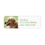 Golden Retriever Pup Return Address Mailing Labels