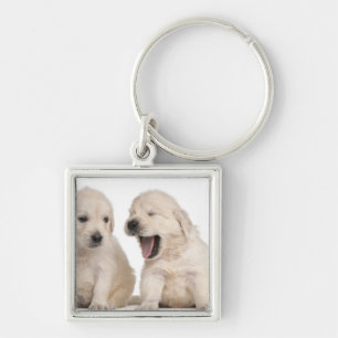 Golden Retriever puppies (4 weeks old) Keychain