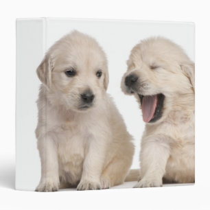 Golden Retriever Puppies Binder