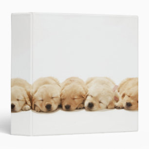 Golden Retriever Puppies Binder