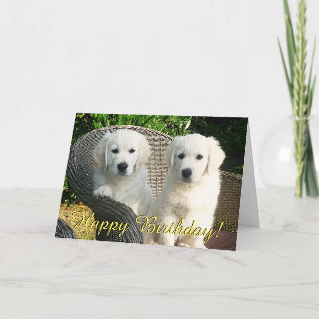 Golden retriever puppies birthday card (Front)