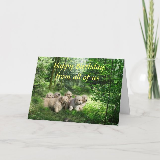 Golden Retriever Puppies Birthday Card (Front)