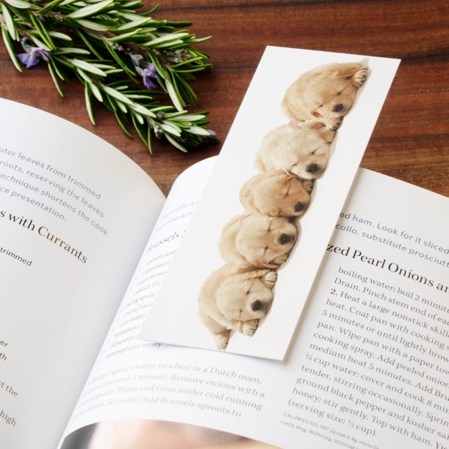 Golden Retriever Puppies Bookmarks (Book)