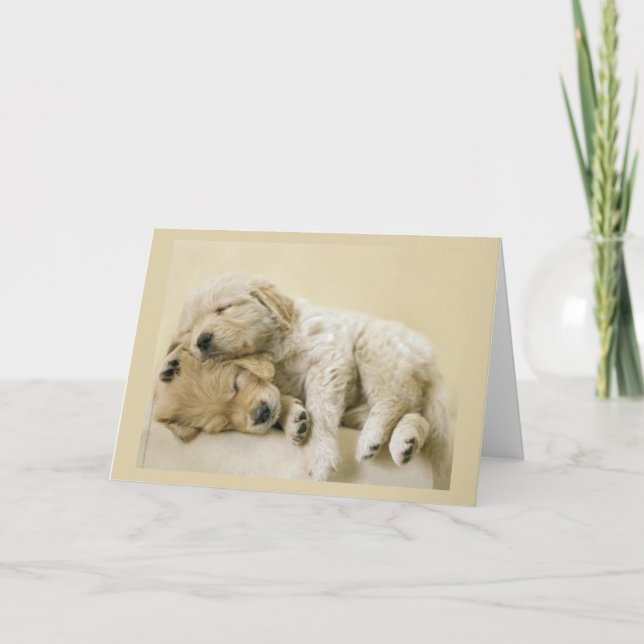 Golden Retriever Puppies Card (Front)