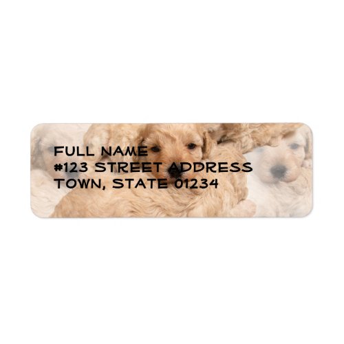 Golden Retriever Puppies Collage Mailing Label