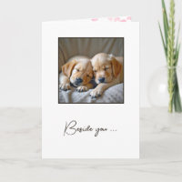 Golden Retriever Puppies For Anniversary