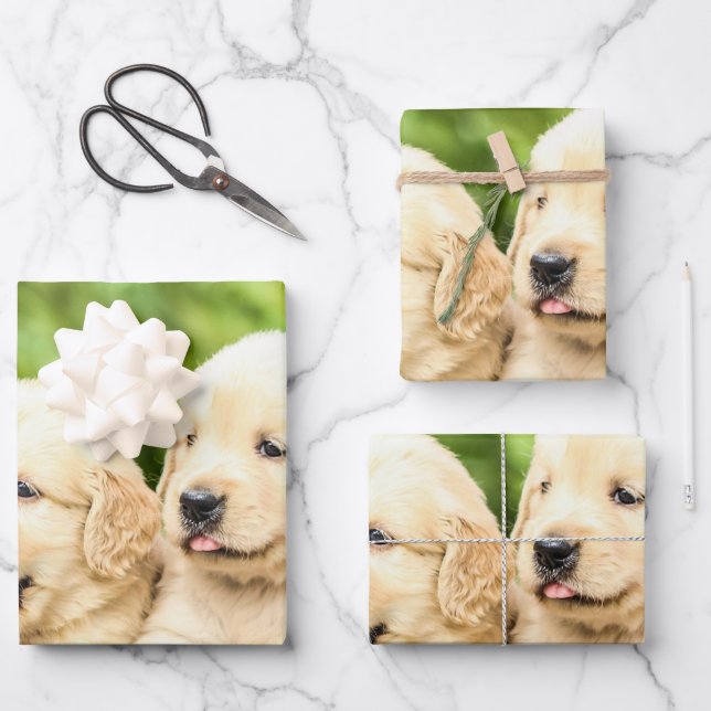 Golden Retriever Puppies in a Row Wrapping Paper Sheets (Front)