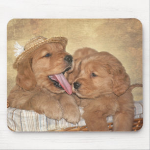 Golden Retriever Puppies in basket Mouse Pad