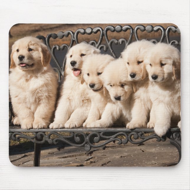 Golden Retriever Puppies Mouse Pad (Front)