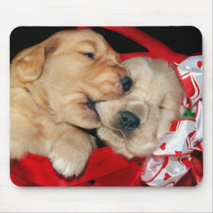 golden retriever puppies mouse pad