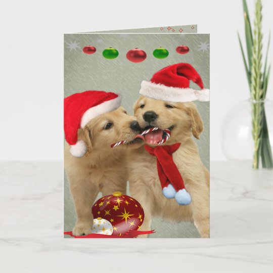 Golden Retriever Puppies Share Candy Cane Cards Zazzle Com