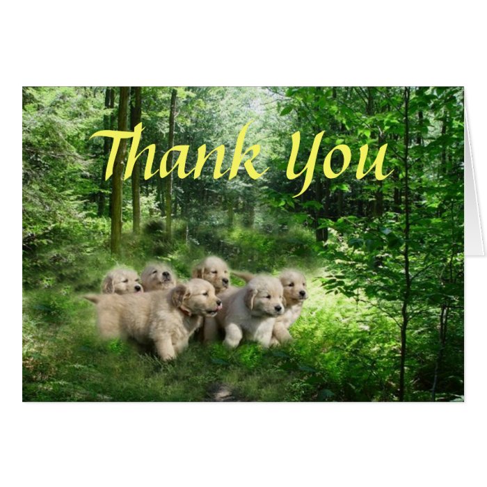 Golden Retriever Puppies Thank You Card Zazzle