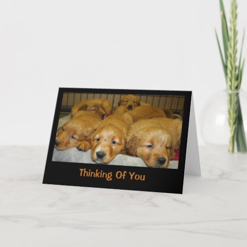 Golden Retriever Puppies Thinking Of You Card
