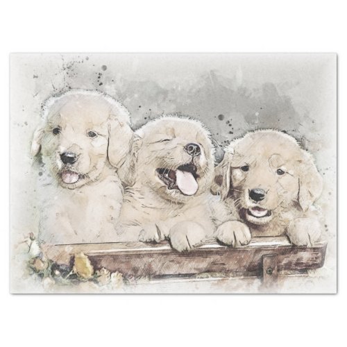 Golden Retriever Puppies Tissue Paper