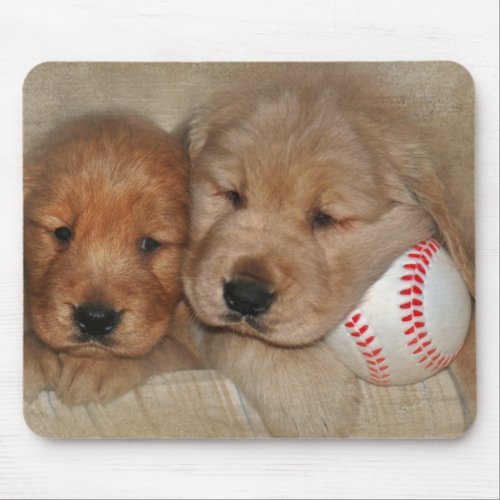 Golden Retriever Puppies with Baseball Mouse Pad