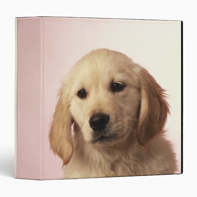 Golden retriever puppy 3 ring binder (Front/Spine)