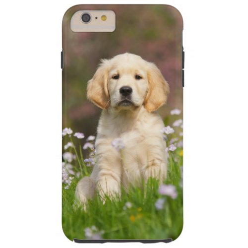 Golden Retriever puppy a cute Goldie Tough iPhone 6 Plus Case
