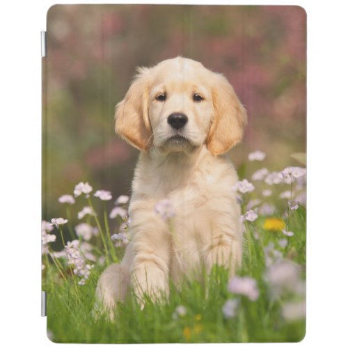 Golden Retriever puppy a cute Goldie iPad Smart Cover