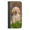 Golden Retriever puppy a cute Goldie