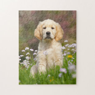 Golden Retriever puppy a cute Goldie Jigsaw Puzzle