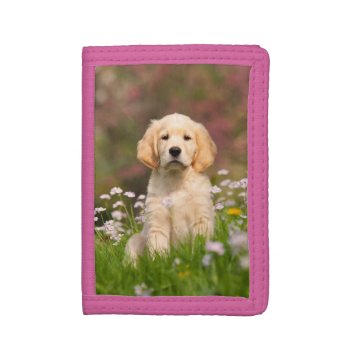 Golden Retriever Puppy A Cute Goldie Tri-fold Wallet by Kathom_Photo at Zazzle