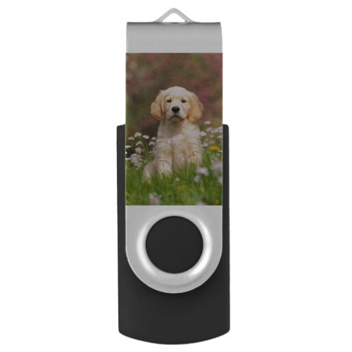Golden Retriever puppy a cute Goldie USB Flash Drive