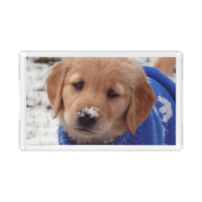 Golden Retriever Puppy Acrylic Tray (Front)