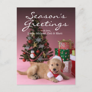 Golden Retriever Puppy and Christmas 3 Holiday Postcard