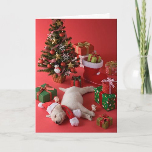 Golden Retriever Puppy and Christmas Holiday Card