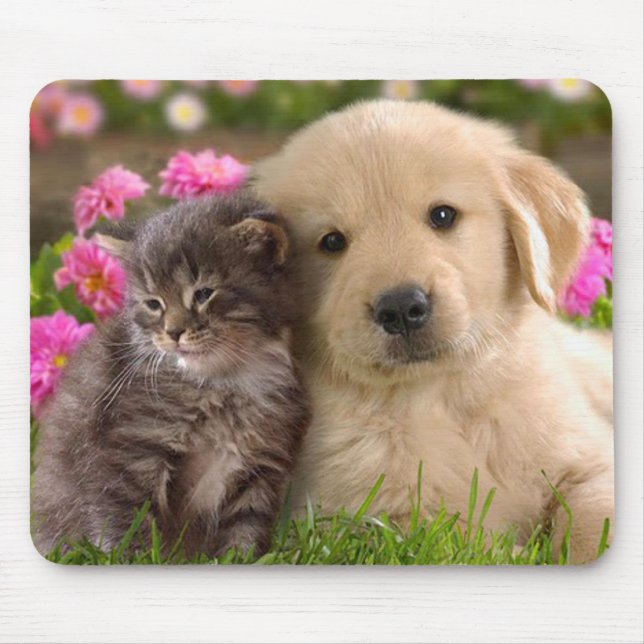 Golden Retriever Puppy and Kitten Mouse Pad (Front)