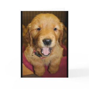 Golden Retriever Puppy Any Occasion Card