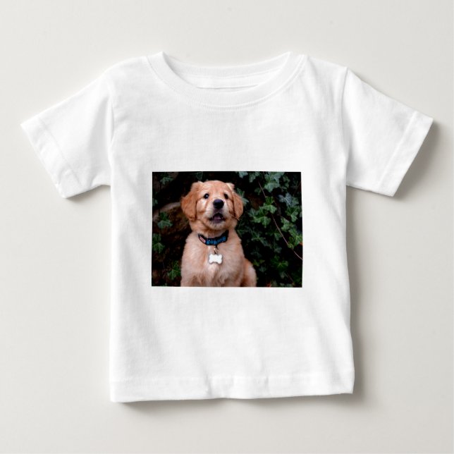Golden Retriever Puppy Baby T-Shirt (Front)