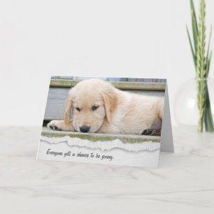 Golden Retriever Puppy Birthday Humor Card