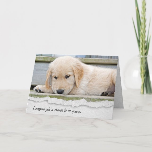 Golden Retriever Puppy Birthday Humor Card (Front)
