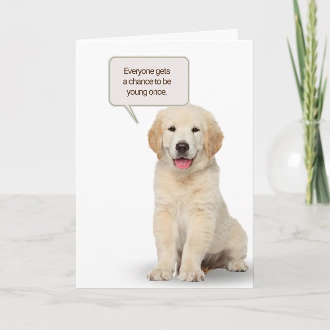Golden Retriever Puppy Birthday Humor Card (Front)
