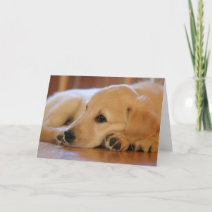 Golden Retriever Puppy Blank Inside Card