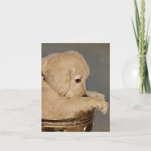 Golden Retriever Puppy Blank Notecard