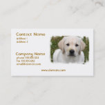 Golden Retriever Puppy Business Card