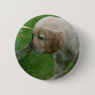 Golden Retriever Puppy Button