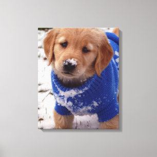 Golden Retriever Puppy Canvas Print