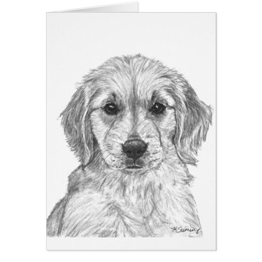 Golden Retriever Puppy Card