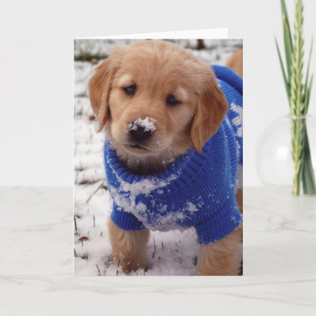 Golden Retriever Puppy Card (Front)