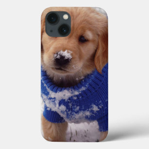 Golden Retriever Puppy iPhone 13 Case