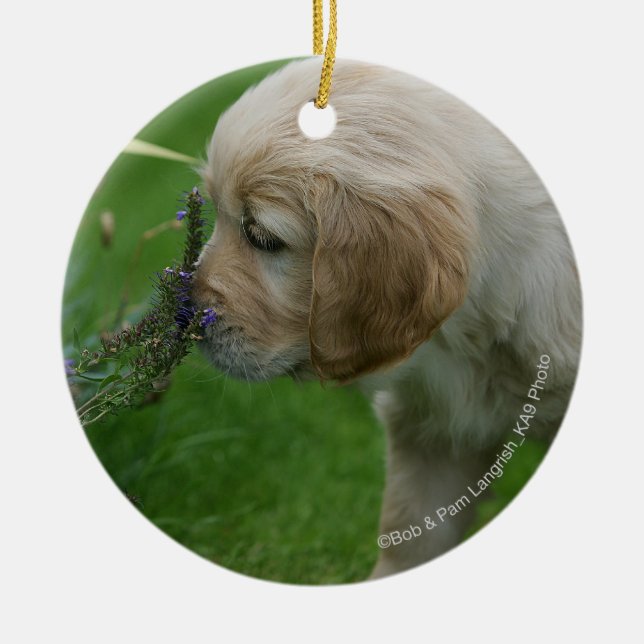 Golden Retriever Puppy Ceramic Ornament (Front)