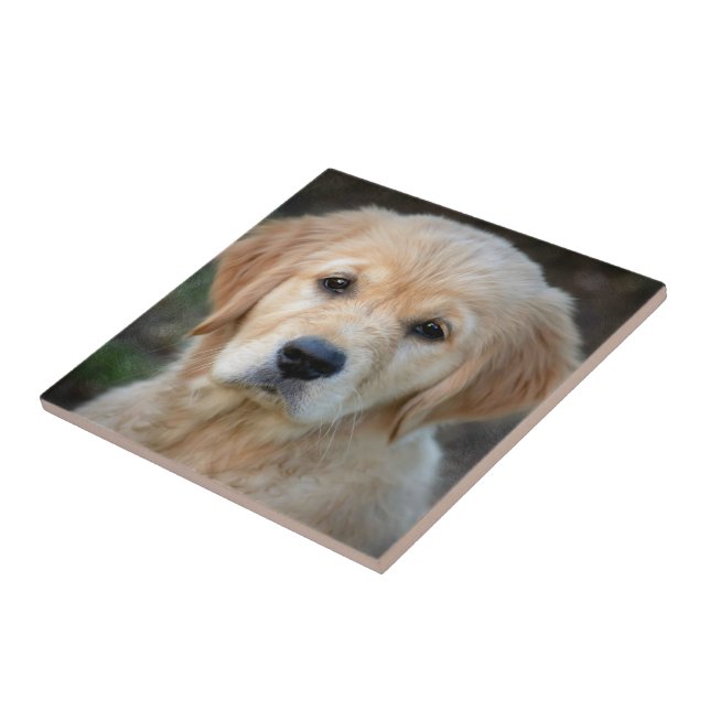 Golden Retriever Puppy Ceramic Tile (Side)