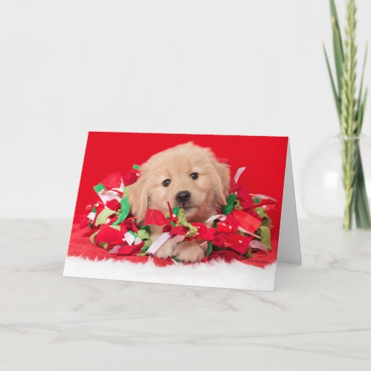 Golden Retriever Puppy Christmas Card Zazzle Com