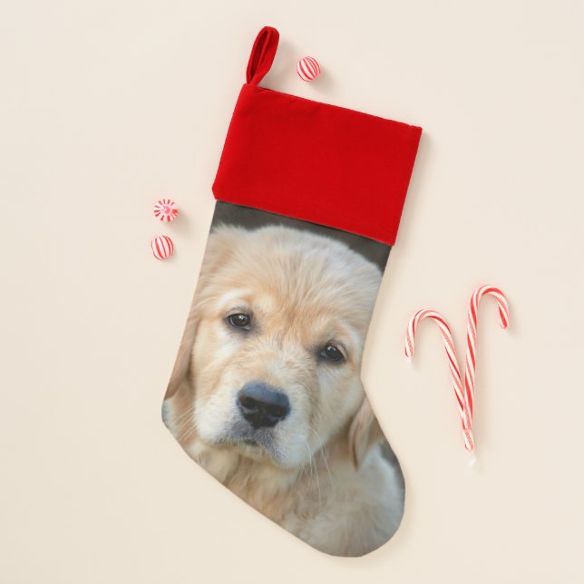 Golden Retriever Puppy Christmas Stocking (Front)