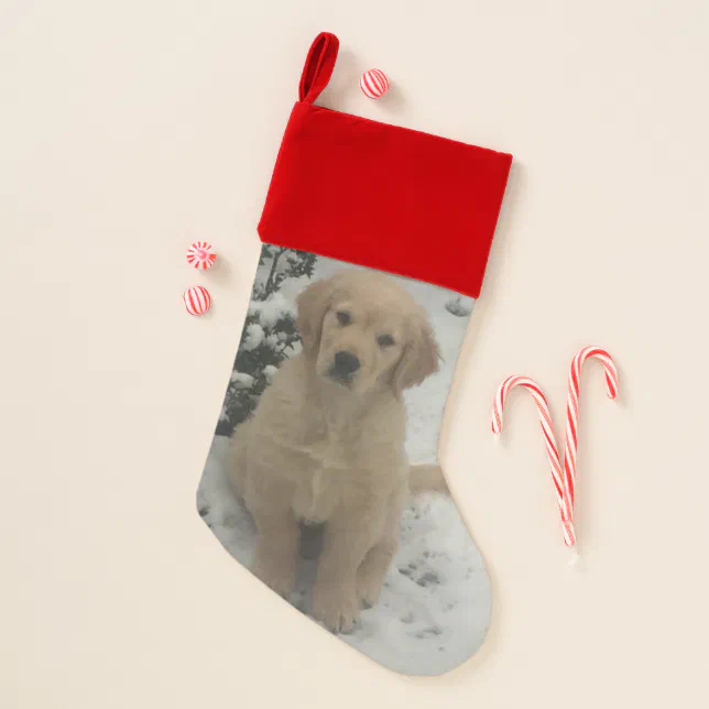 Golden retriever puppy Christmas stocking | Zazzle