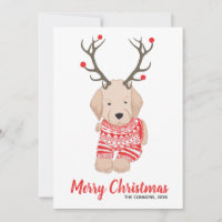 Golden Retriever Puppy Christmas Sweater Antlers