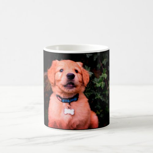 Golden Retriever Puppy Coffee Mug